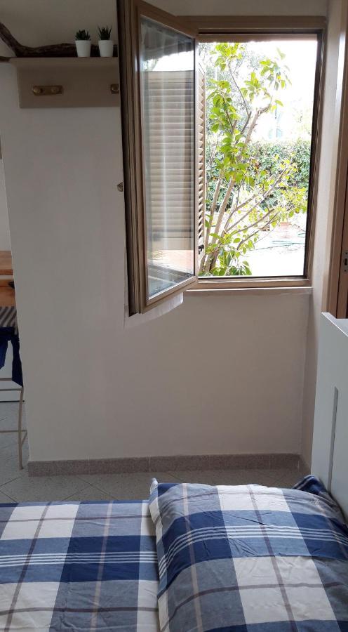 Room Garden Vada Zewnętrze zdjęcie